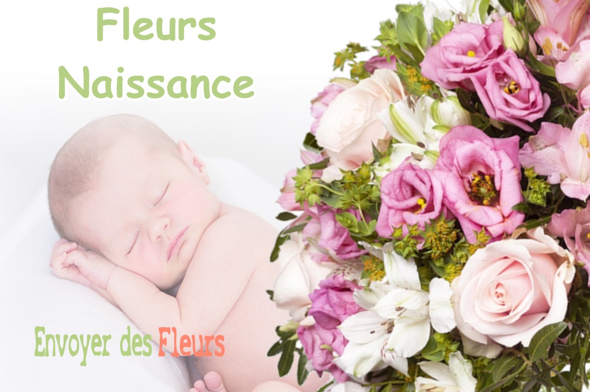 lIVRAISON FLEURS NAISSANCE à SAINT-DENIS-EN-VAL