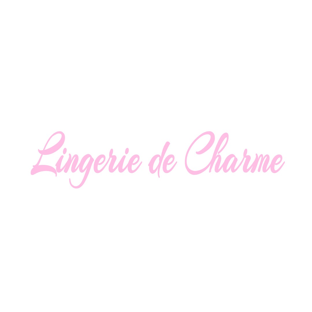 LINGERIE DE CHARME SAINT-DENIS-EN-VAL